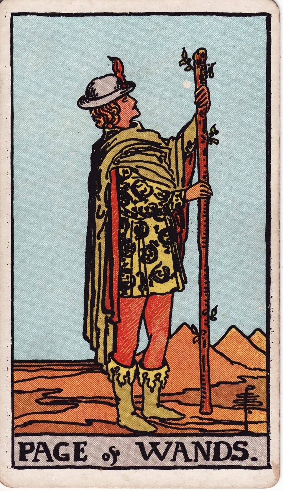 ไพ่ เด็กรับใช้ไม้เท้า (Page of Wands)